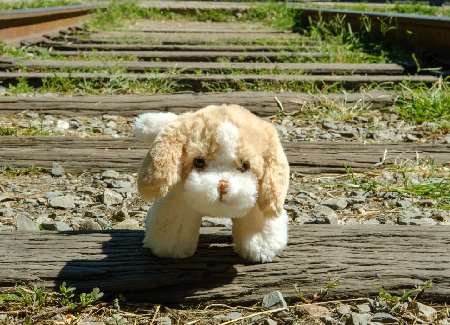 A small plush dog walking along a railway track